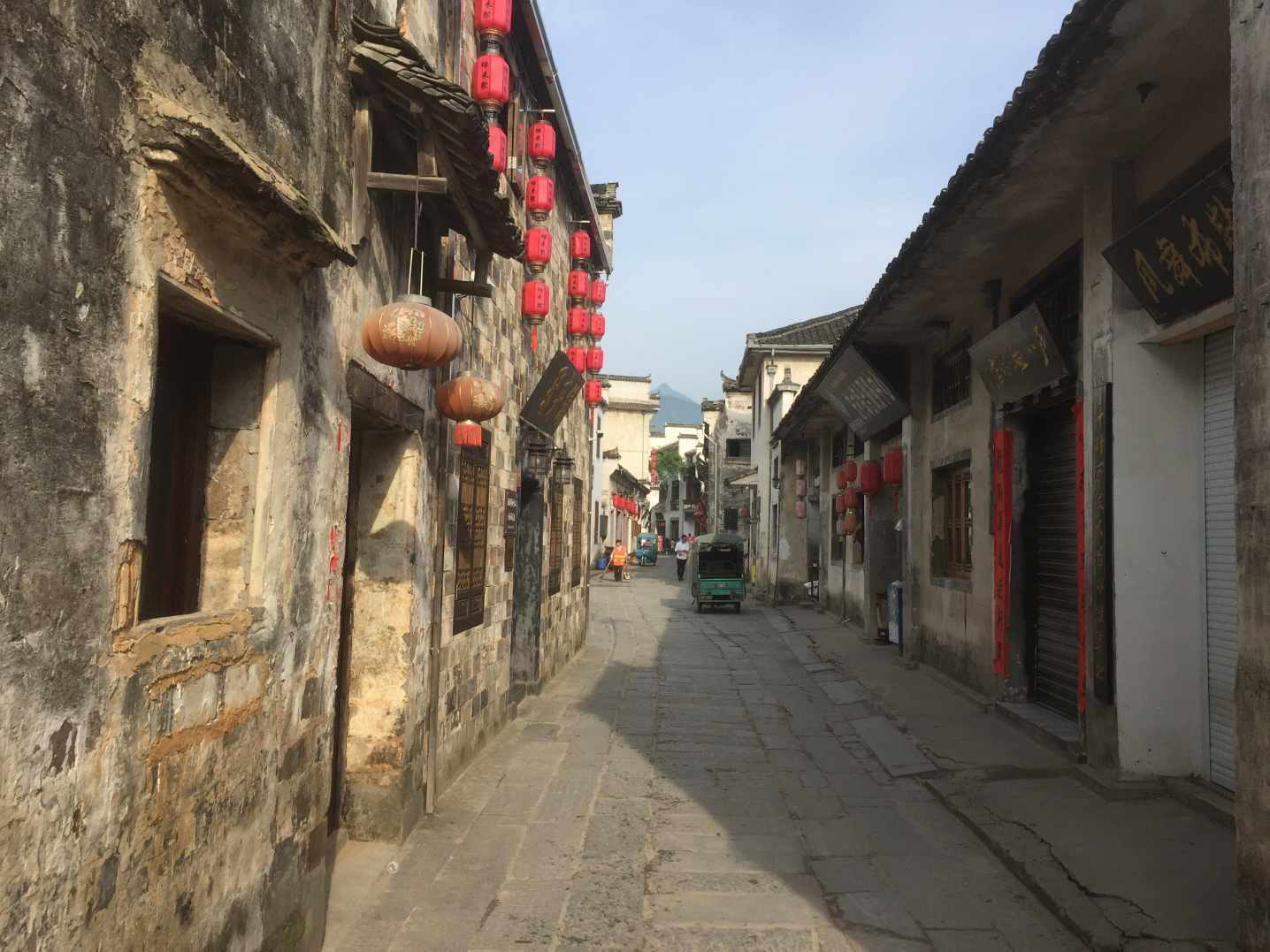 崇明展团,火了
